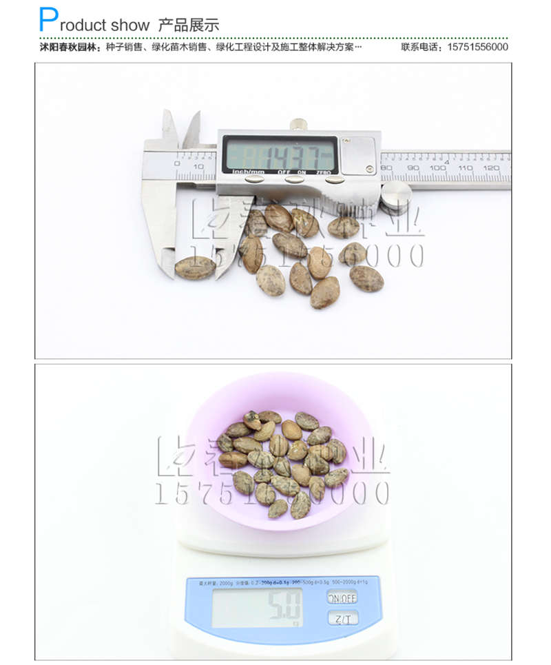 瓜蔞種子銷售參考價格